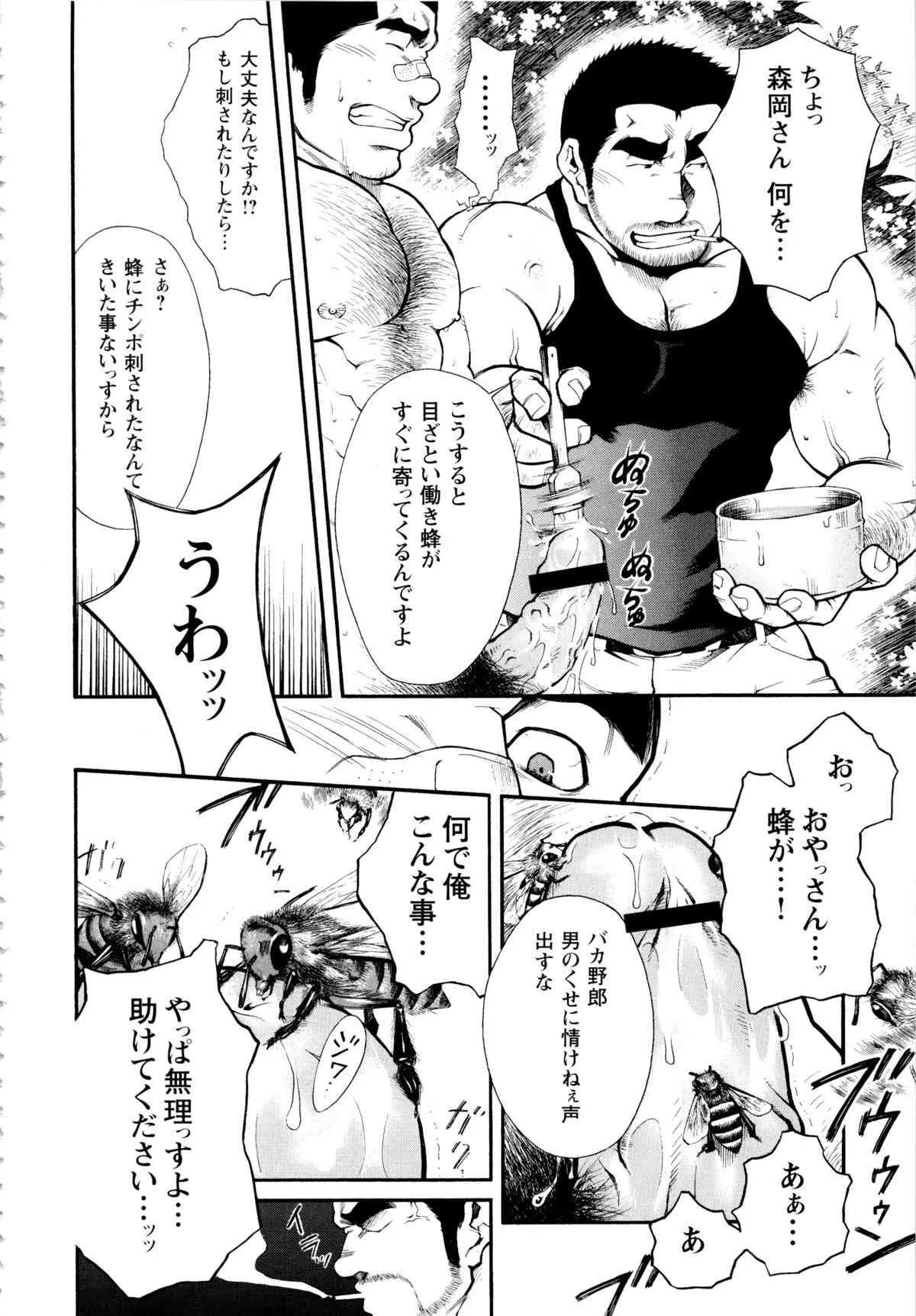 Osu Hachi no Mitsu – by -晃次郎 (Terujirou)_8