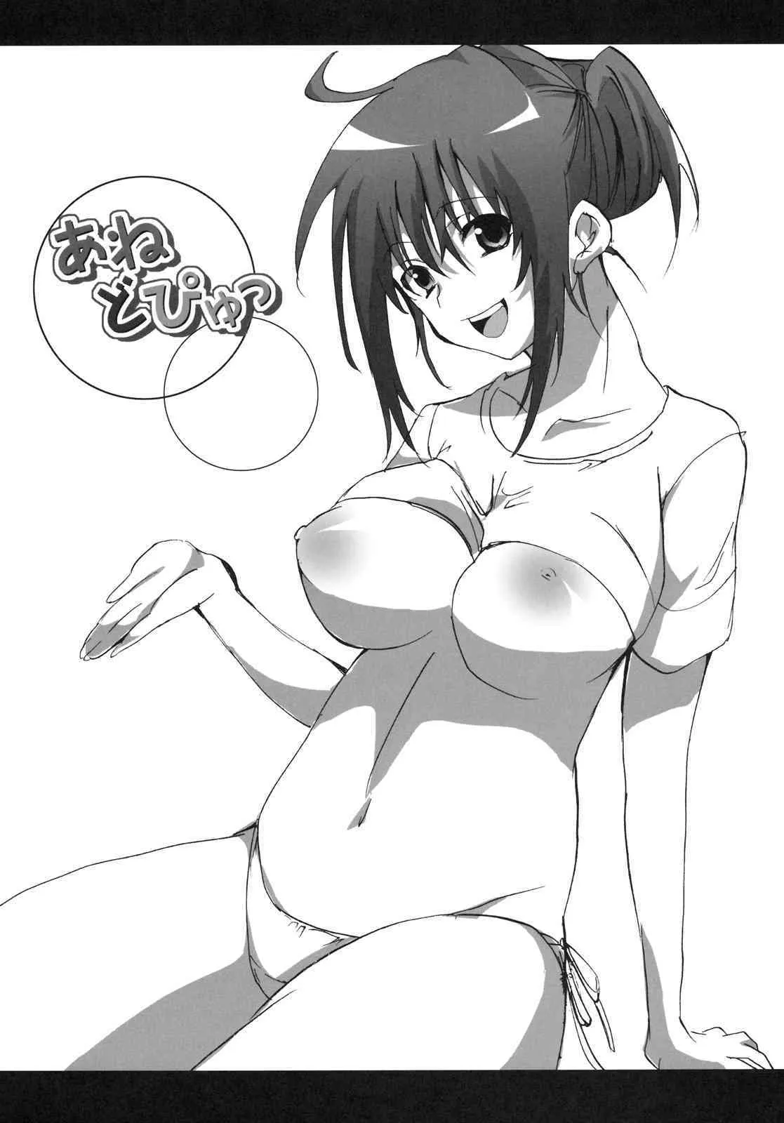 (サンクリ45) [Pannacotta (宵子)] あねどぴゅっ (あねどきっ)_3
