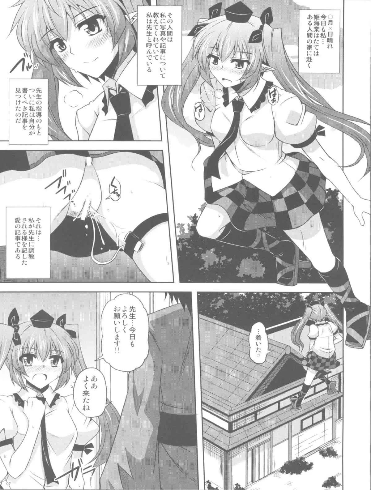 (例大祭8) [何処までも蒼い空に浮かぶ肉。 (肉そうきゅー。)] 妄想念報 (東方Project)_5
