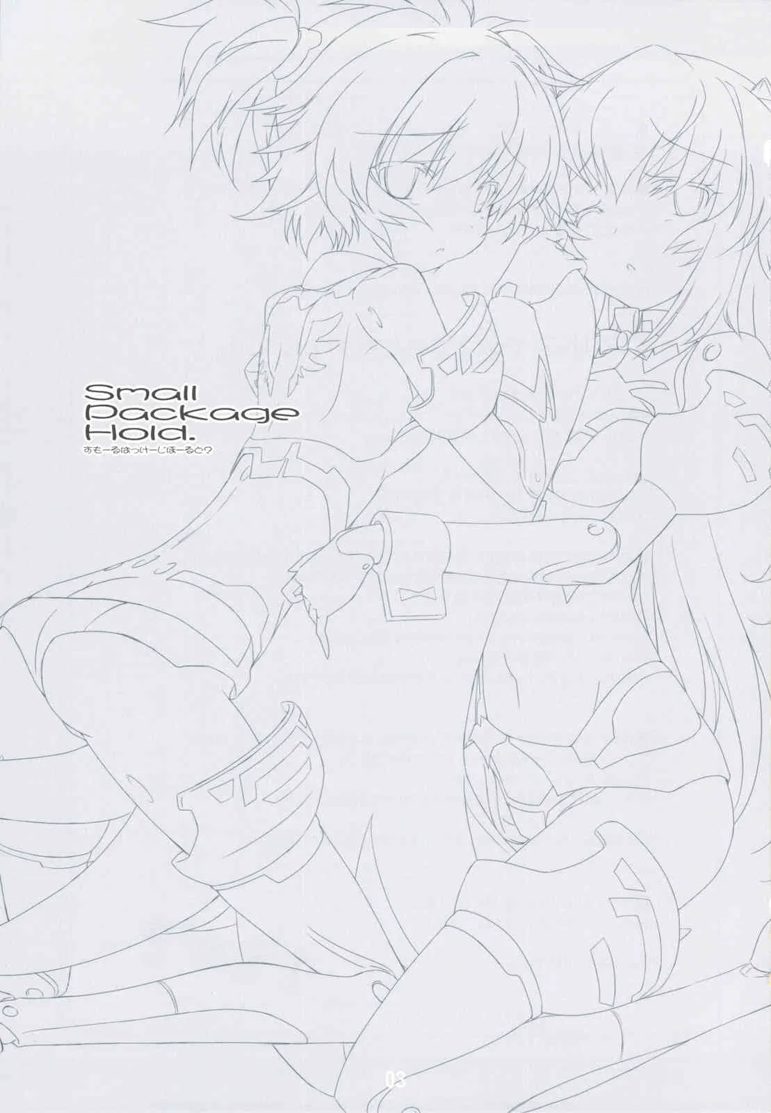 (C83) [ころころころんぴ (藤原々々)] Small Package Hold. (武装神姫)