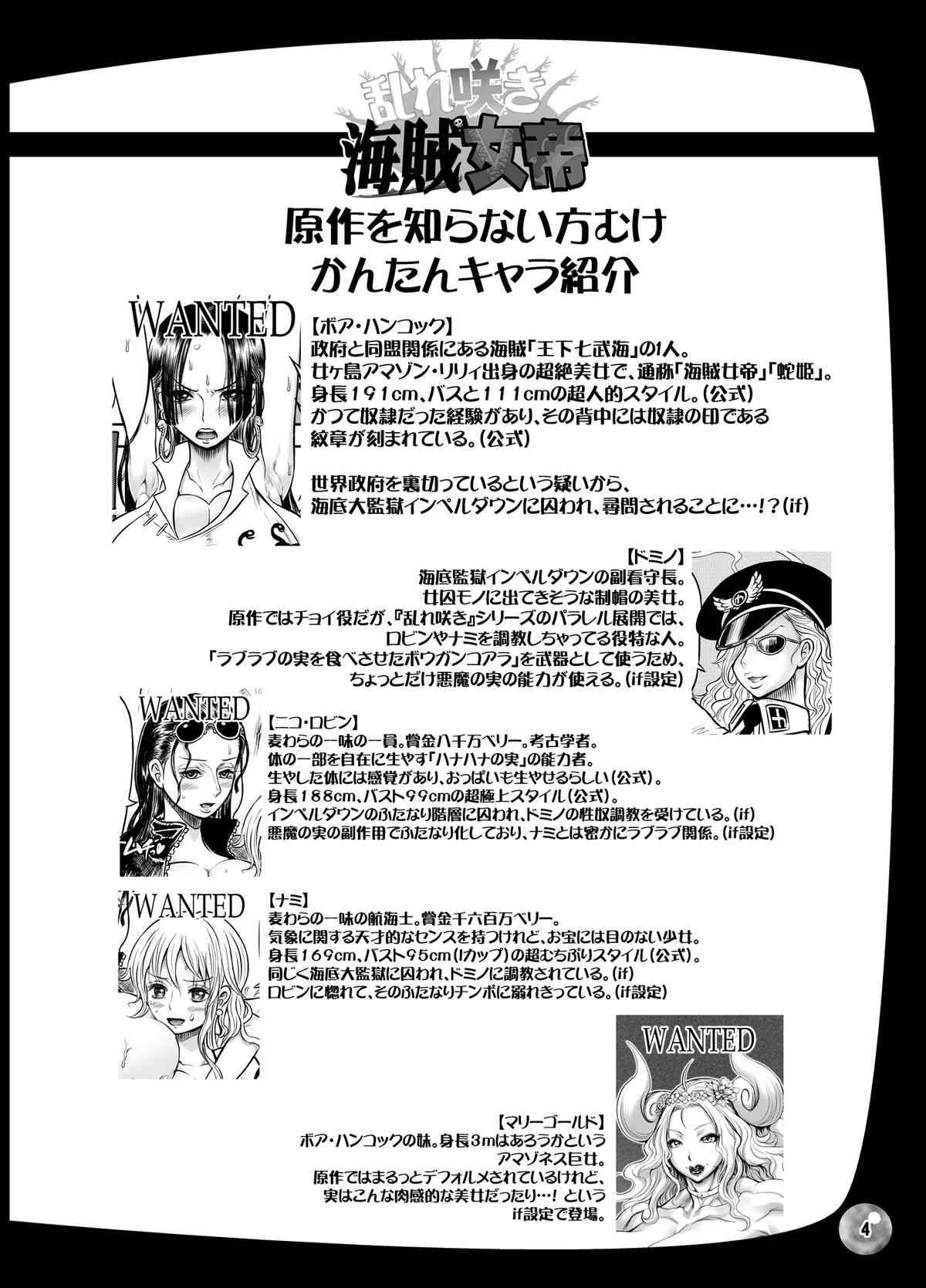 [アルセノテリス (Rebis, 沈没)] 乱れ咲き海賊女帝 (ワンピース) [DL版]_3