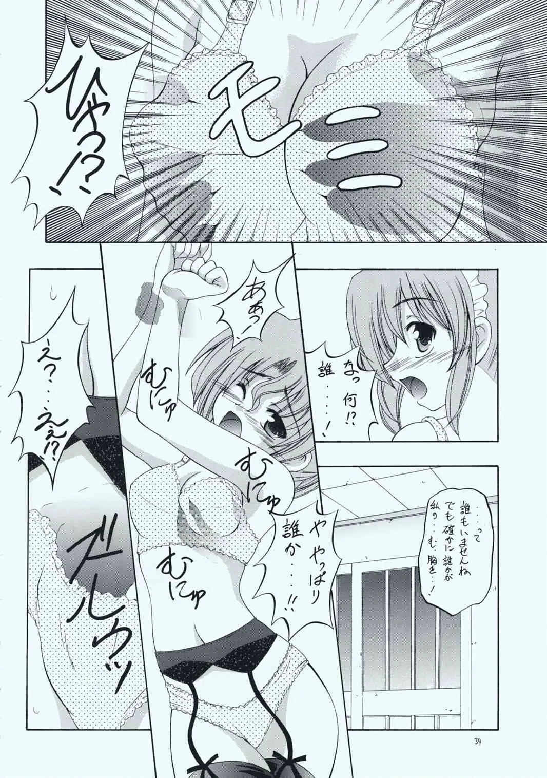 image_33