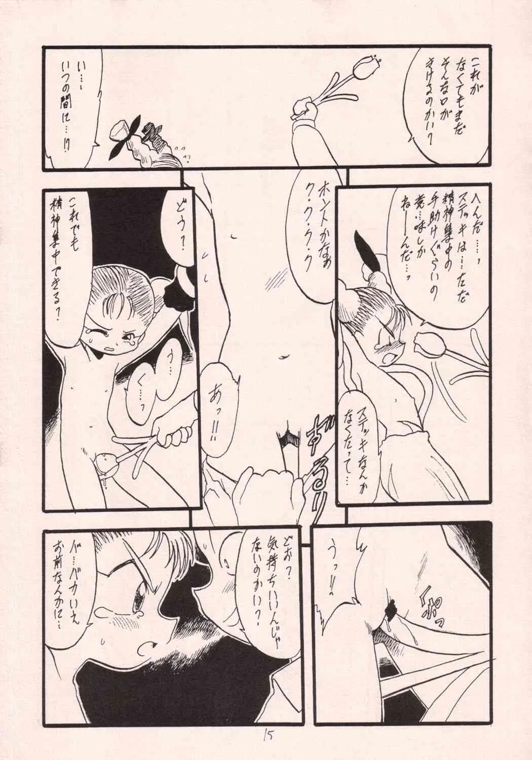 (C55) [P.A.Project (てるき熊)] お菓子の楽園 (天からトルテ！)_10