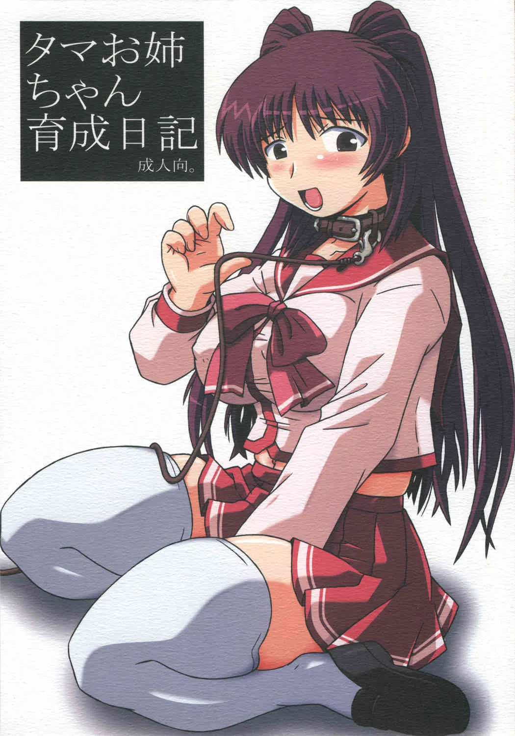 (C78) [サルヴェージ工房 (鳳凰たん)] タマお姉ちゃん育成日記 (トゥハート2)