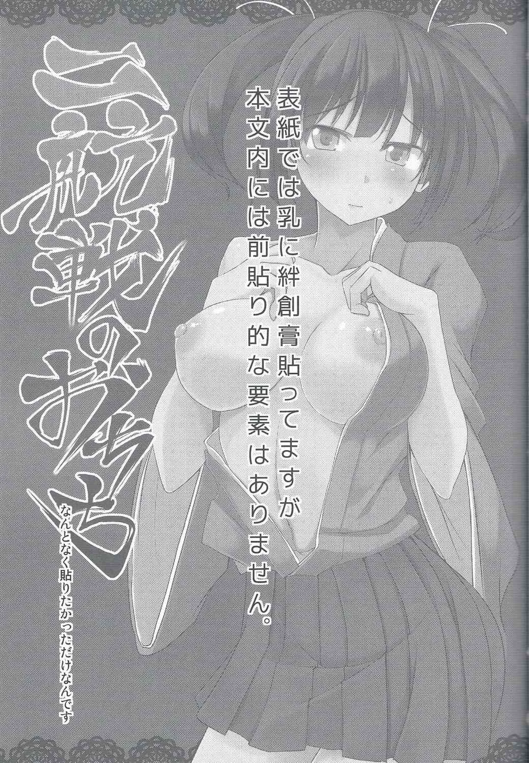 (C85) [海苔特盛 (いわのり)] 二航戦のおちち (艦隊これくしょん-艦これ-)_3