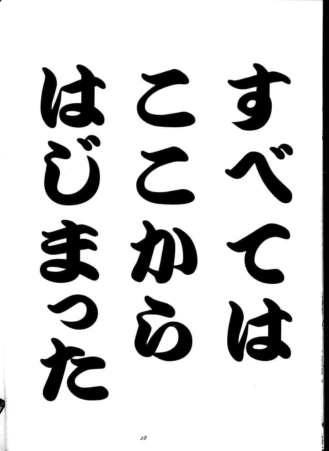 image_27