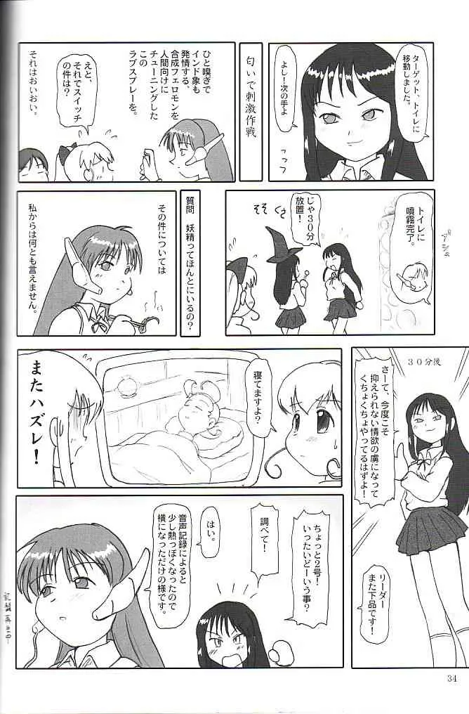 image_33