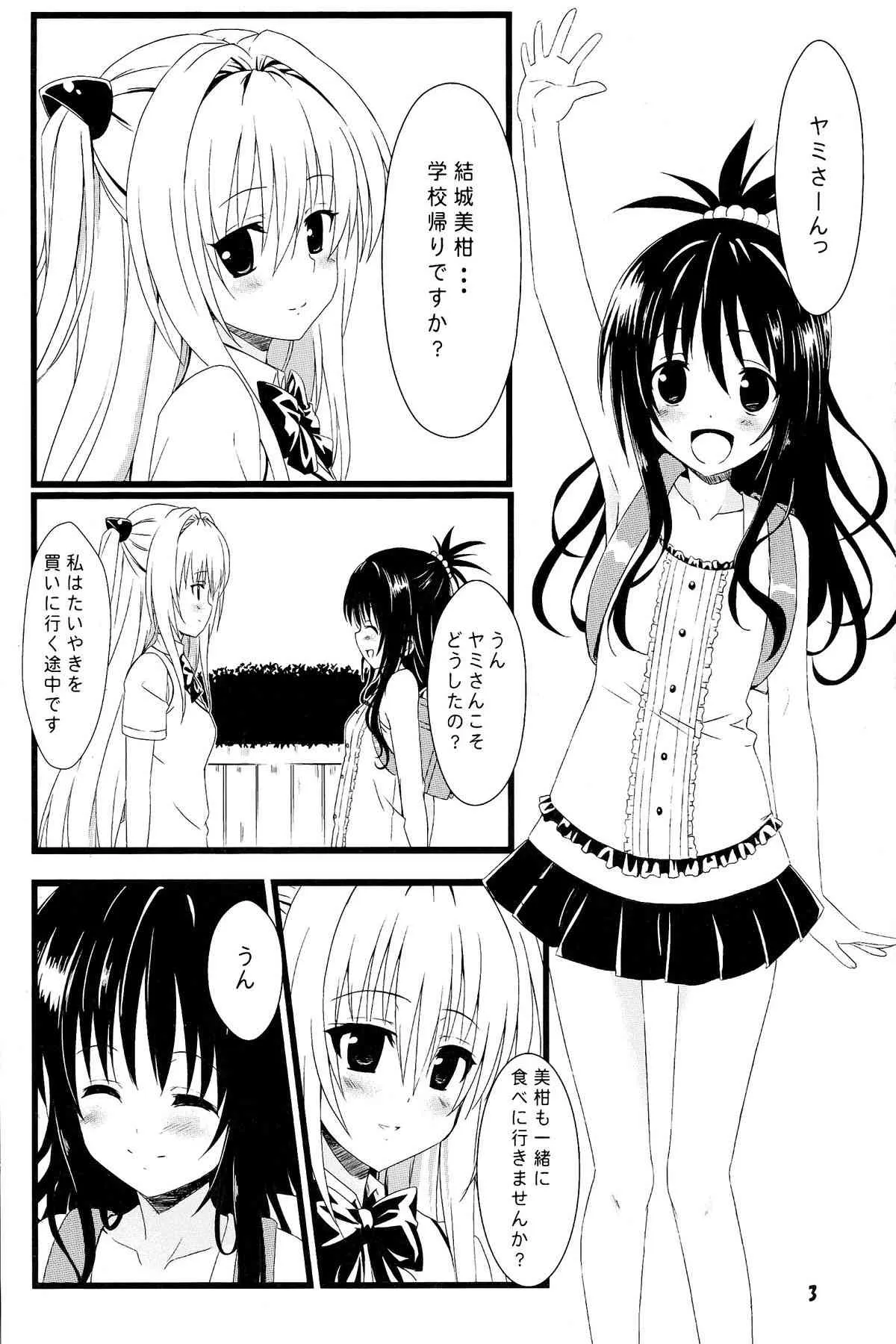 (C83) [カミナリネコ (えーたろー)] ヤミの闇。 (To LOVEる)