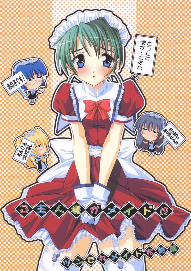 [すたぢおQ (奈塚Q弥)] ご主人様がメイド!?