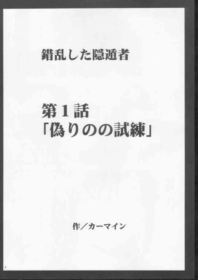 (C61) [クリムゾンコミックス (カーマイン)] 錯乱した隠遁者 (ファイナルファンタジー X)_3