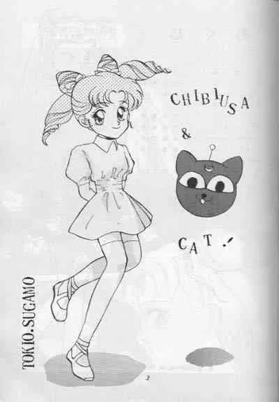 Moon Prism 3 (Sailor Moon) (incomplete)_2