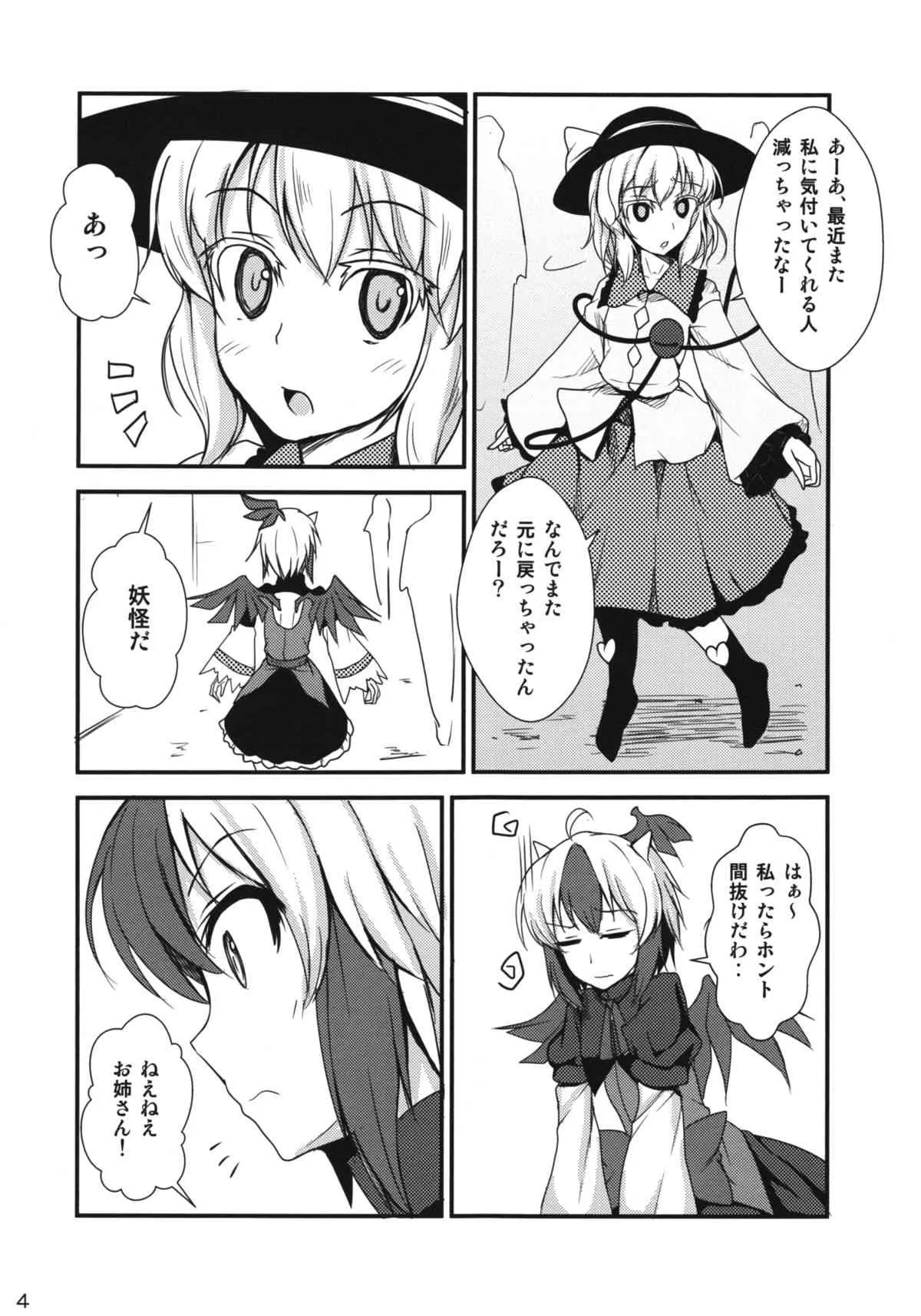 (C85) [ひなた水 (ひなみ)] 誰も私を見ていない (東方Project)_3