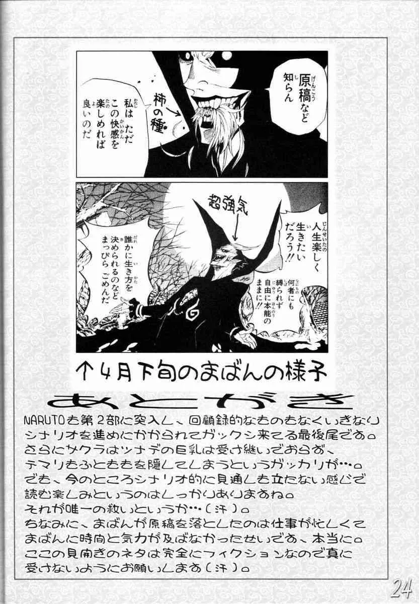 image_23