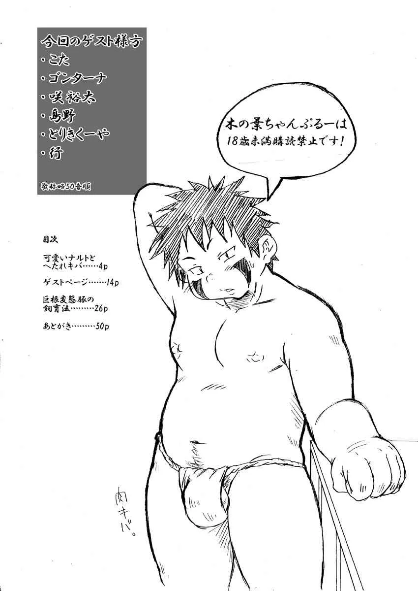 [鈍色の空 (無何有の郷 伊助)] 木の葉ちゃんぷるー (ナルト) [DL版]_3