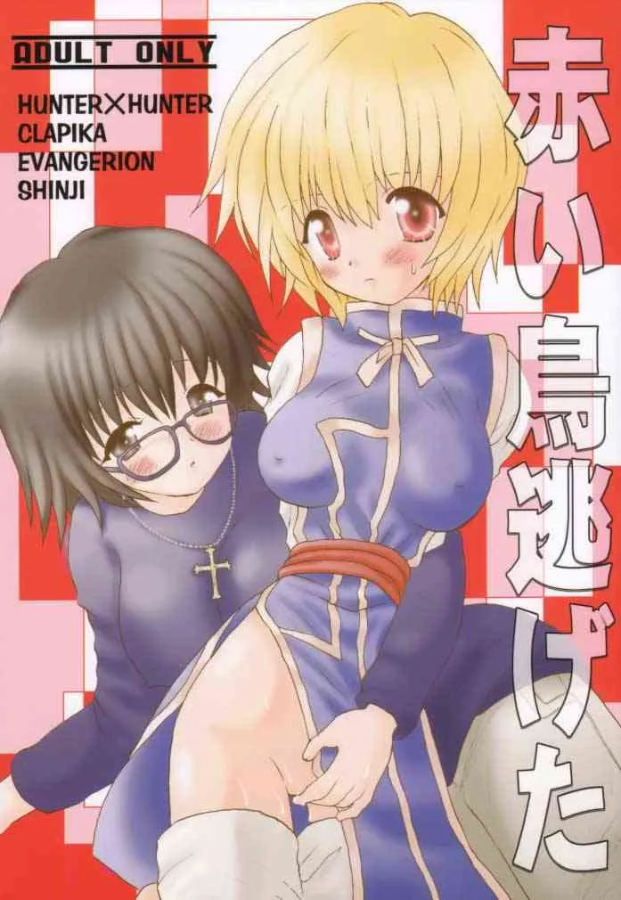 (C58) [くるぐるDNA (星逢ひろ) × ハニワマニア (ポン貴花田)] 赤い鳥逃げた (ハンター×ハンター・新世紀エヴァンゲリオン)