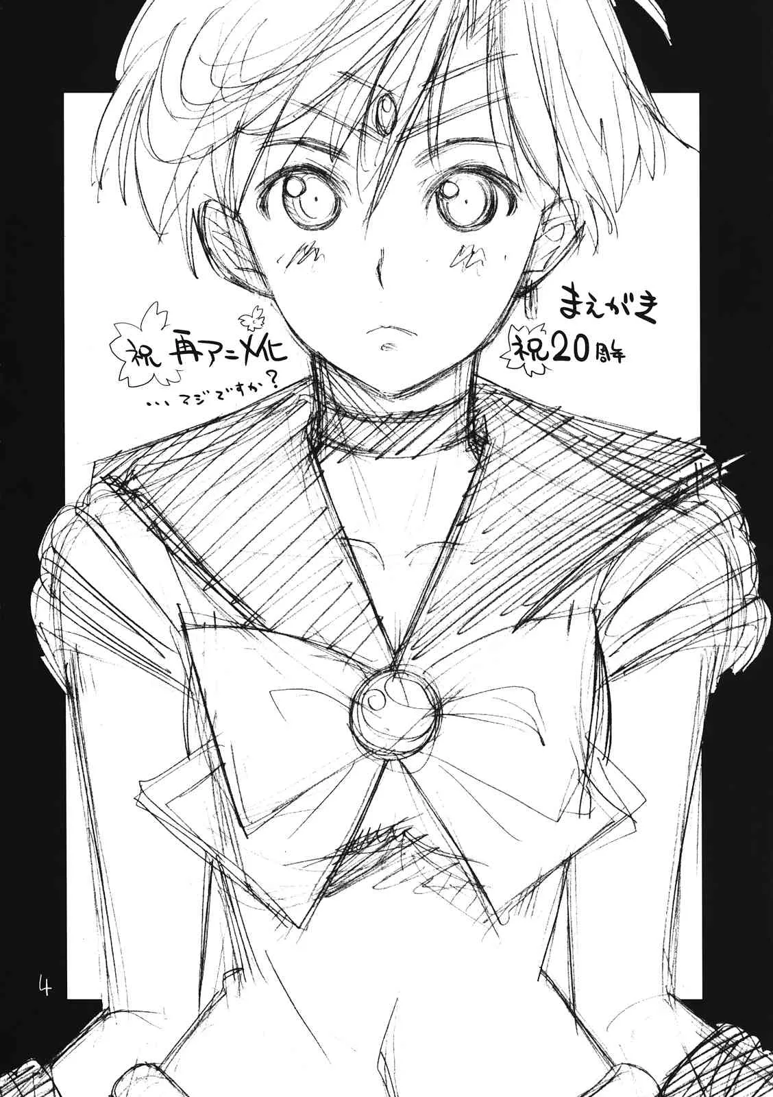 (C82) [バルバロッサ (東雲太郎)] 守ってもしょうがないじゃない (美少女戦士セーラームーン)_3