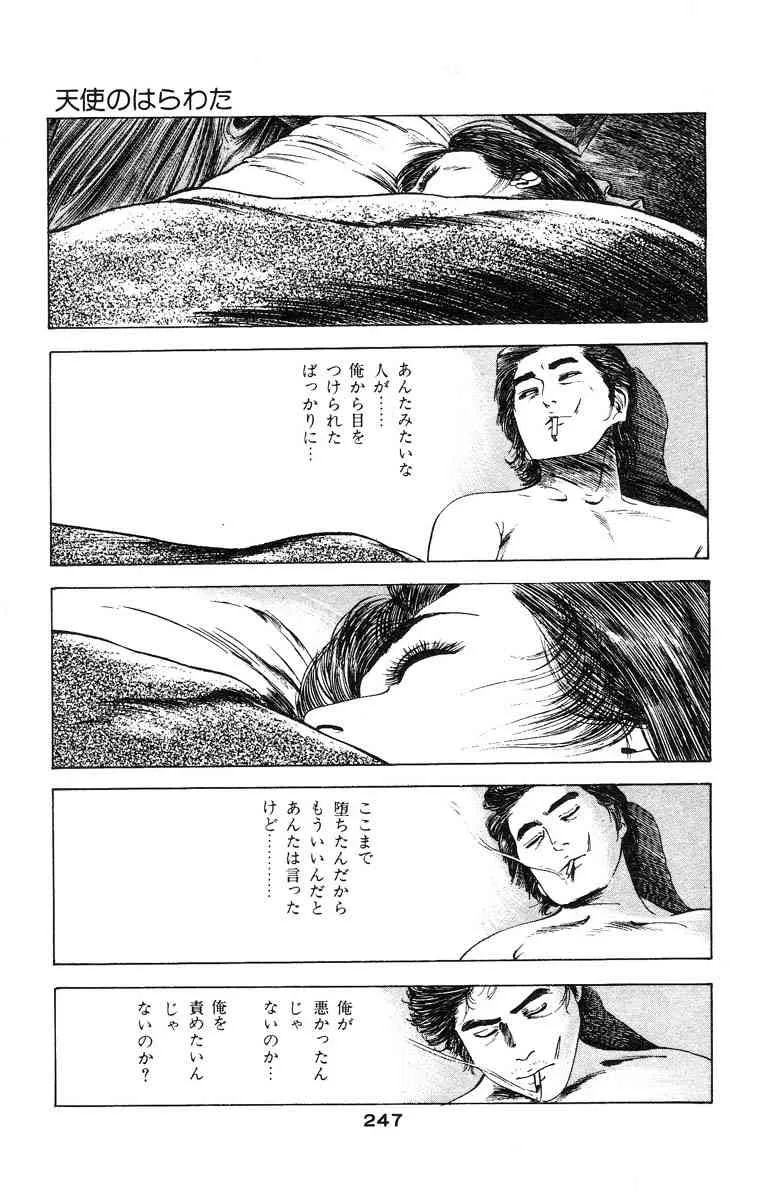 image_245