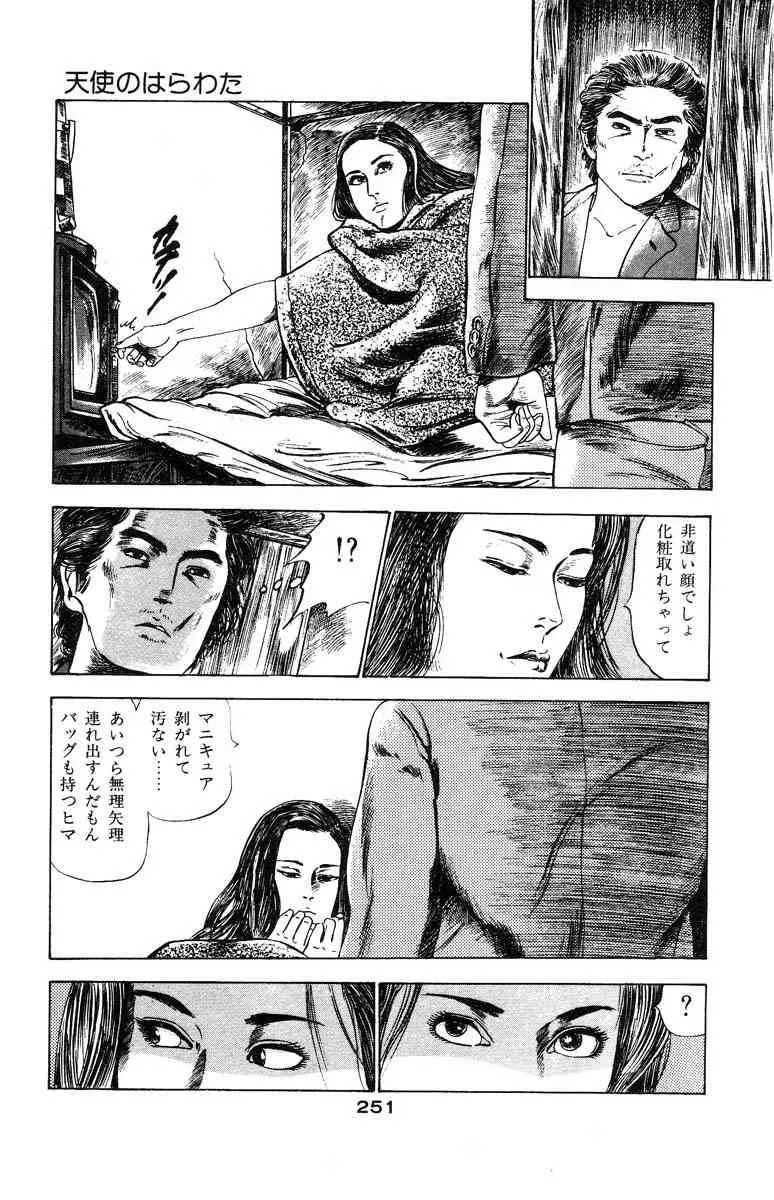 image_249