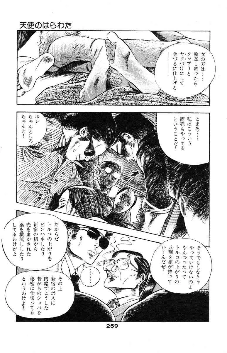 image_247