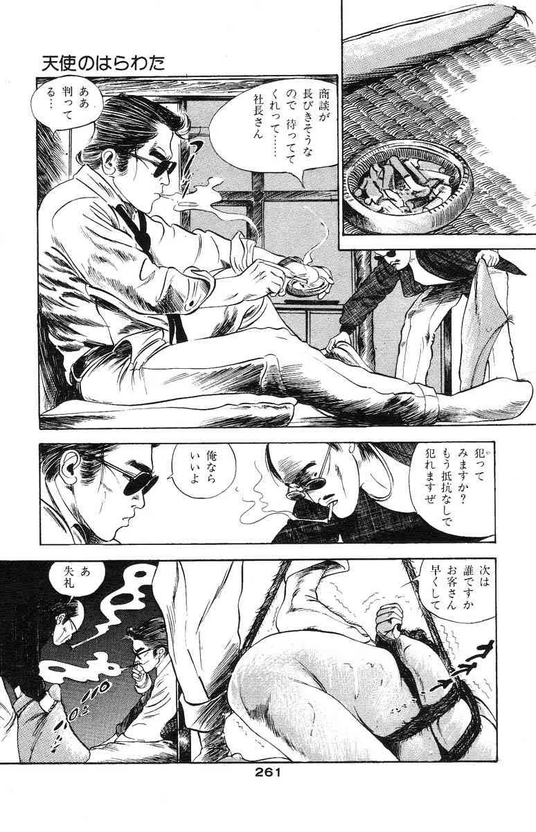 image_249