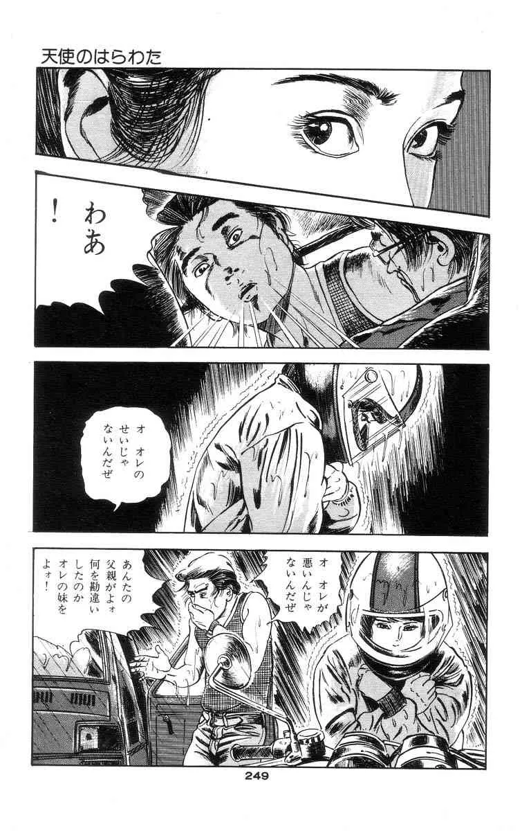 image_243