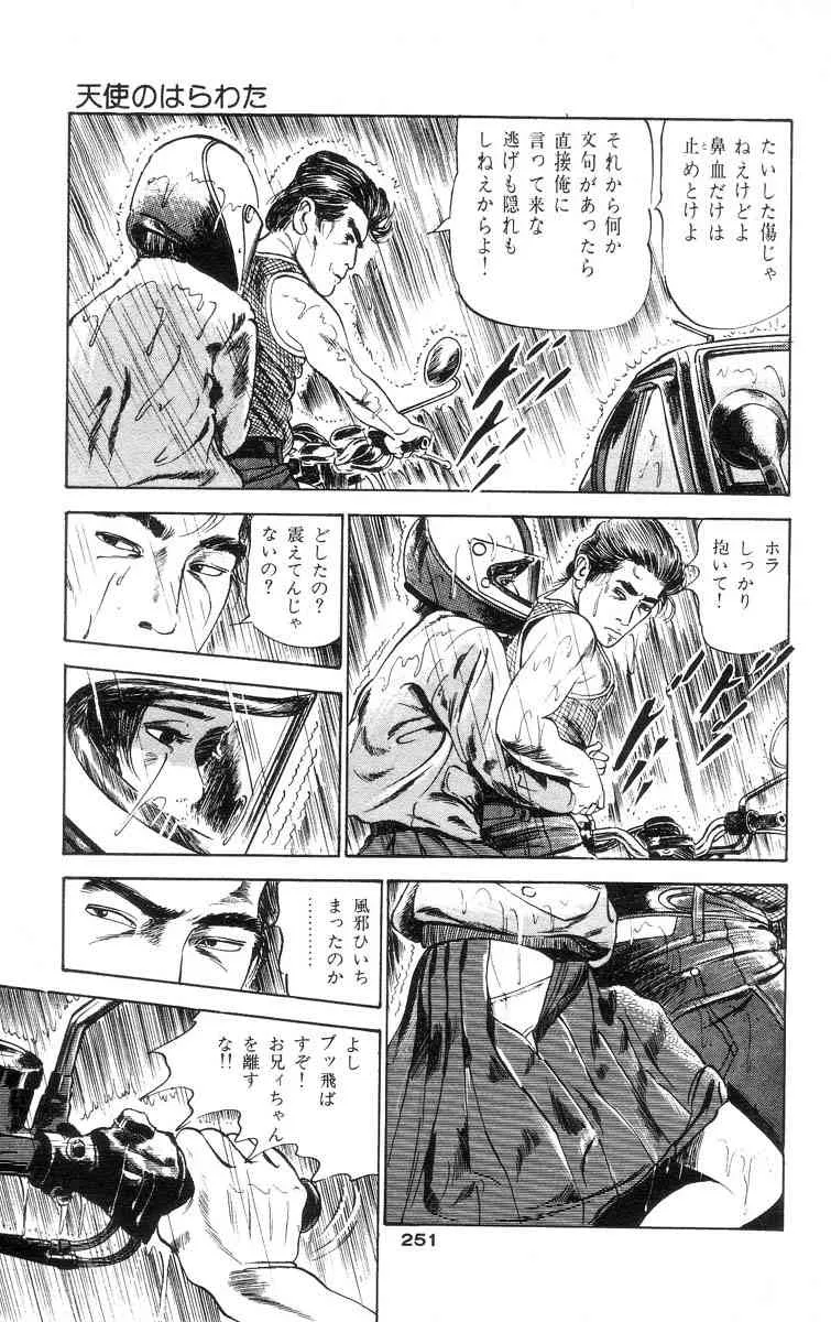 image_245