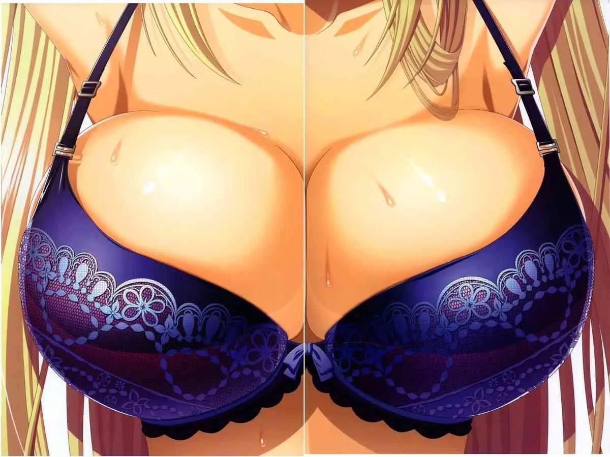 巨乳シリーズ アートワークス_3