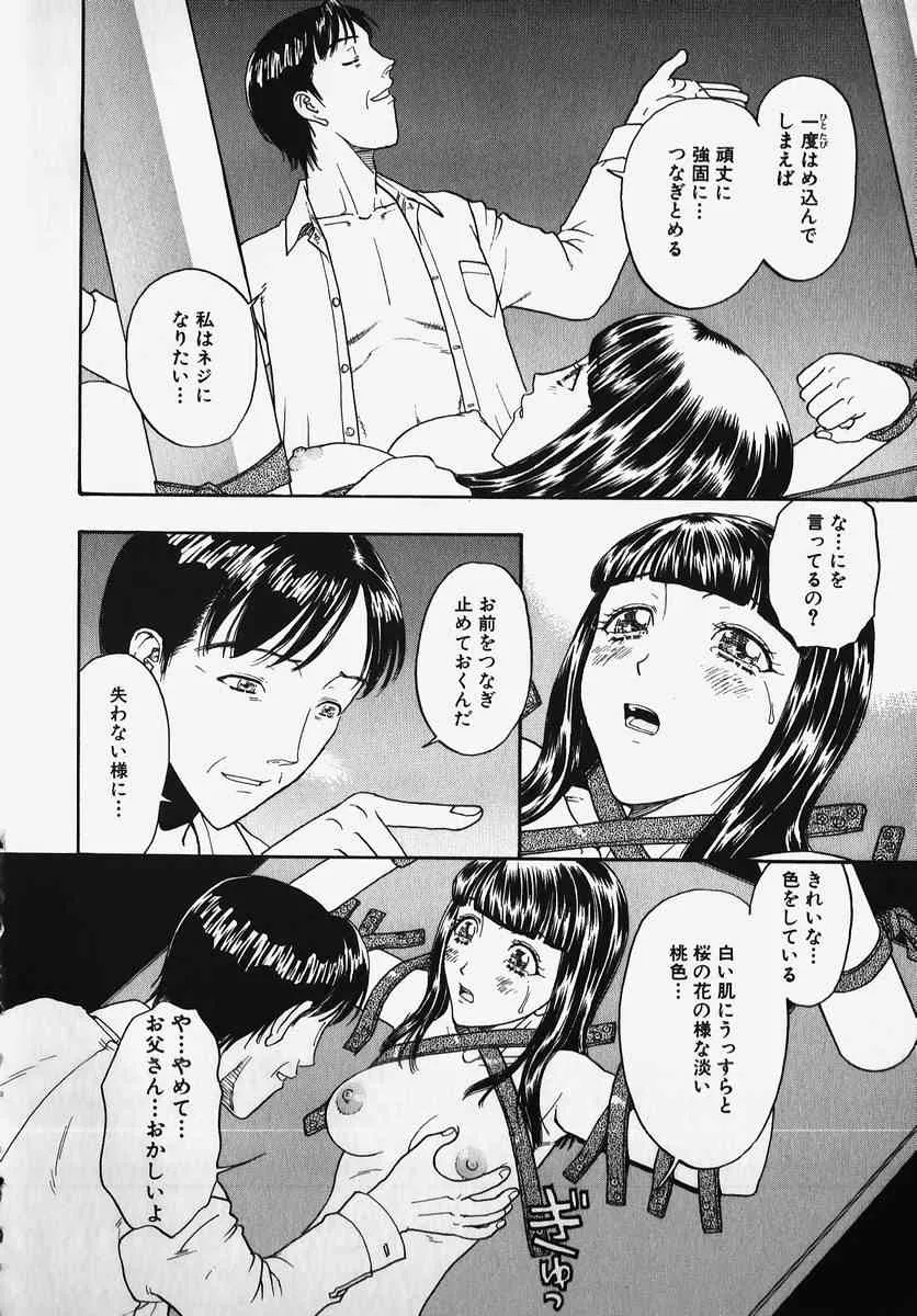 image_48