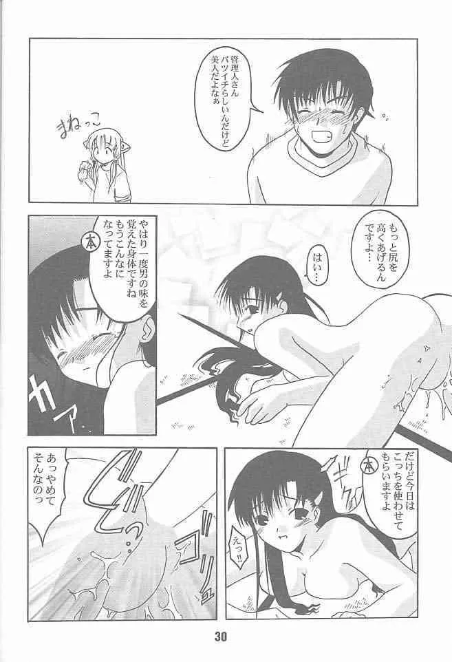 image_29