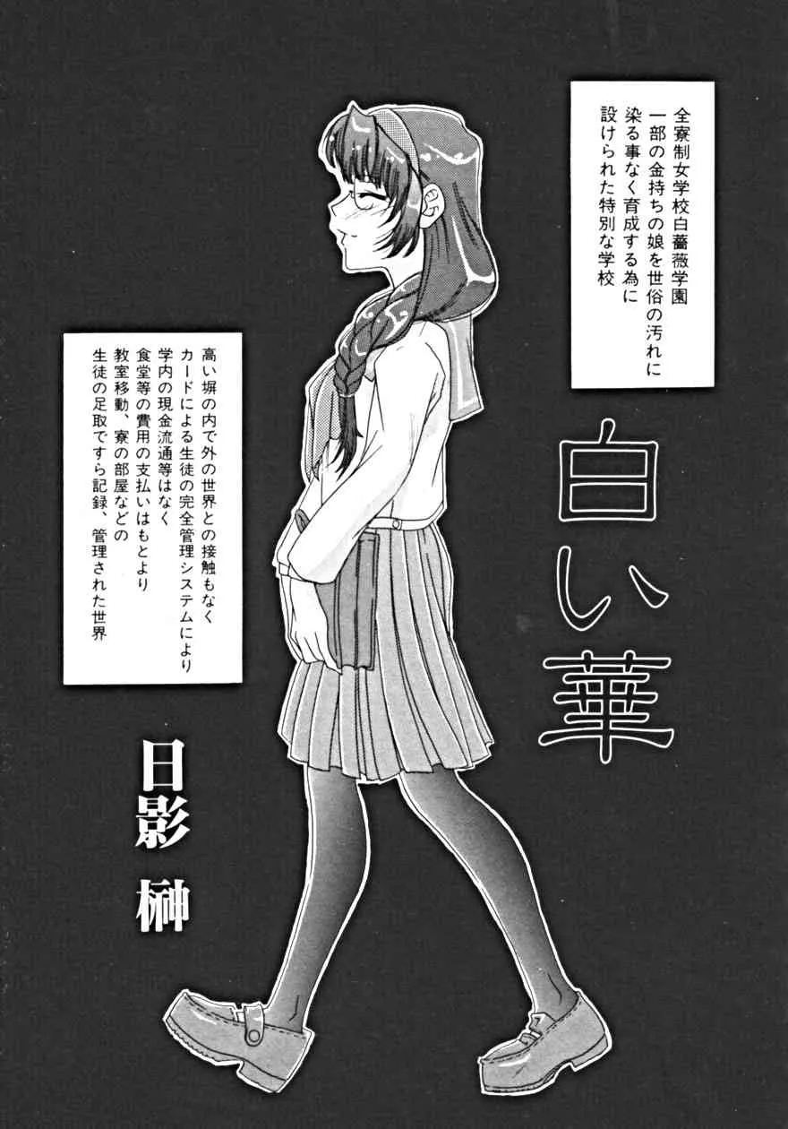 image_79
