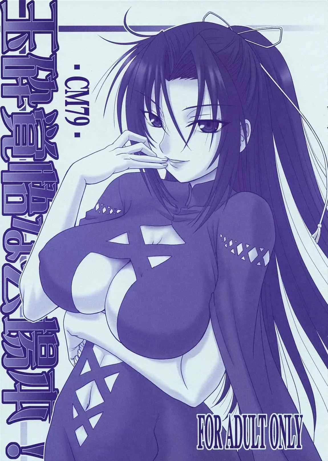 (C79) (同人誌) [俺たちミスノン一家 (ミスノン・ザ・グレート)] 玉砕かくごな会場本！-CM79- (セキレイ)