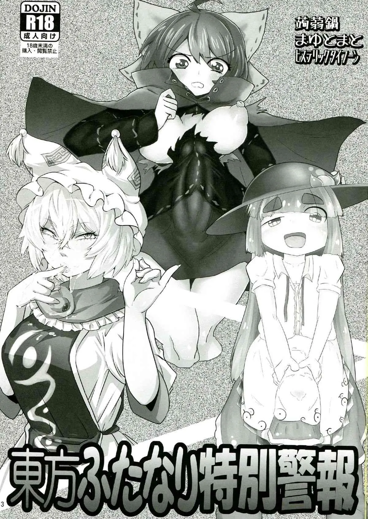 (C85) [蒟蒻鍋, まゆとまと, ヒステリックタイフーン (magifuro蒟蒻, パトちゃん, 細井コウゾウ)] 東方ふたなり特別警報 (東方Project)_3