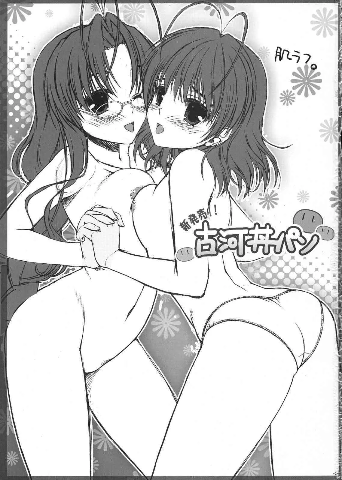 (C76) [浅い海 (浅海朝美)] 新発売!! 古河丼パン (CLANNAD)_2