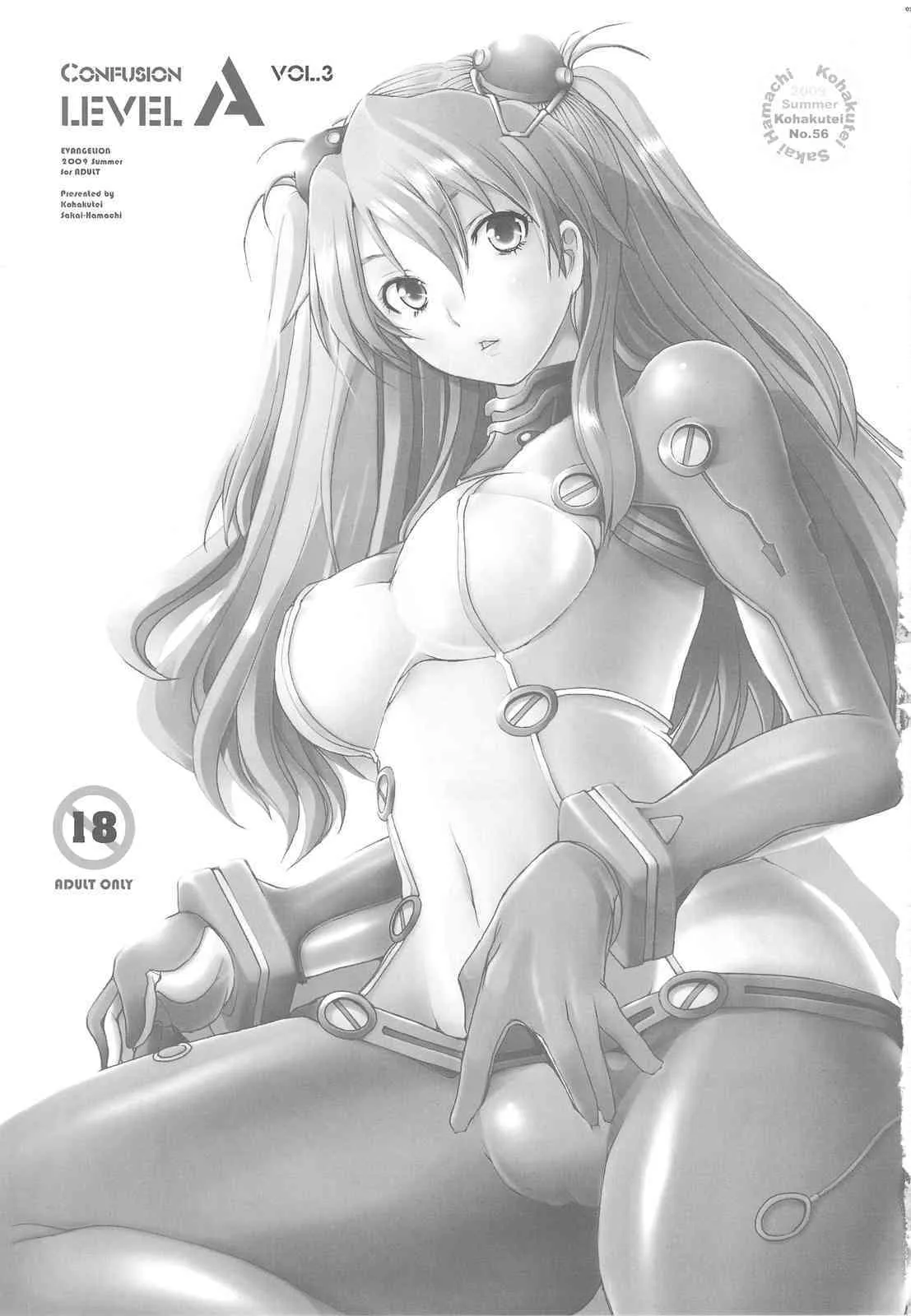 (C76) [琥珀亭 (堺はまち)] Confusion LEVEL A vol.3 (ヱヴァンゲリヲン新劇場版)_2
