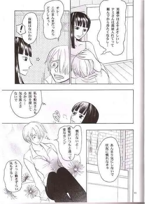 (C66) [cafe Ruanky (宮本たけし、北里双葉)] Strange Qualia (ワンピース)_8