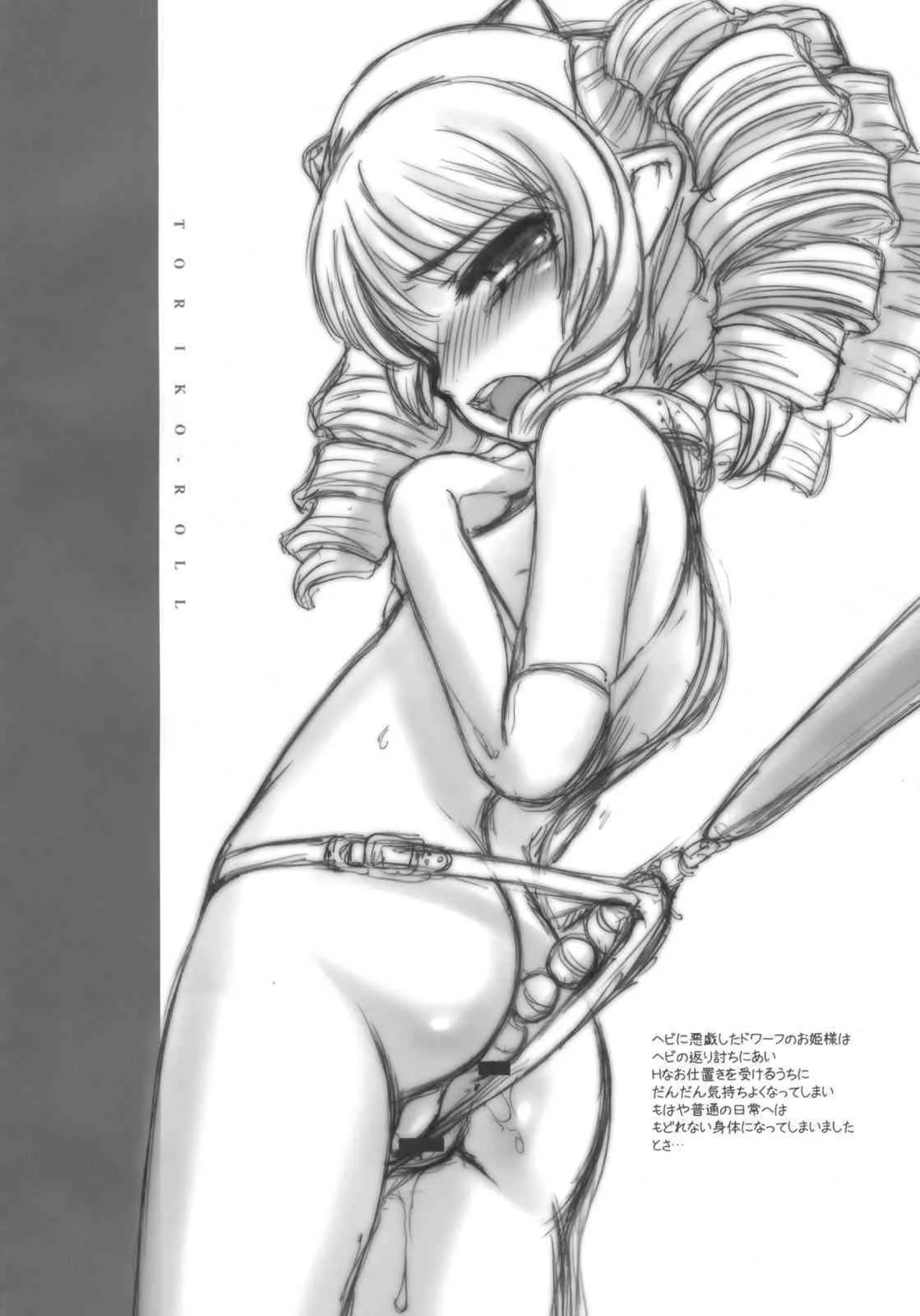 (同人誌) [OFF(okina)] TORIKO-ROLL(クイーンズブレイド)_3