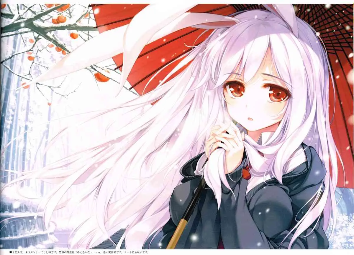 (C85) [劇毒少女 (ke-ta)] FIREPLACE (東方Project)_9