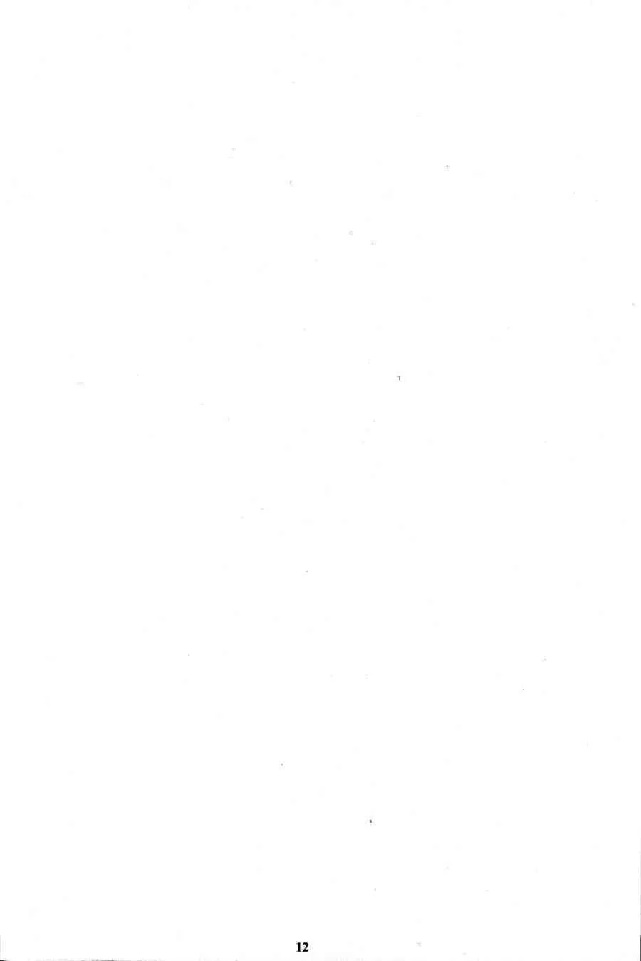 image_11