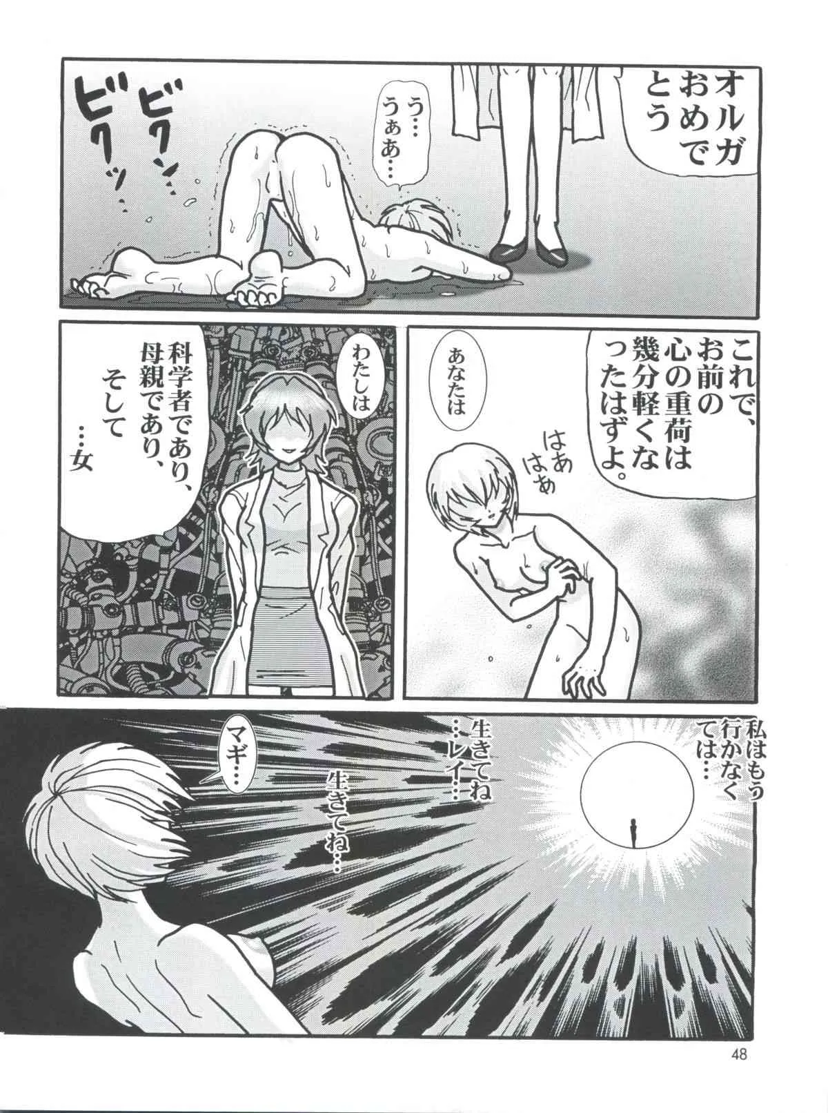 image_48