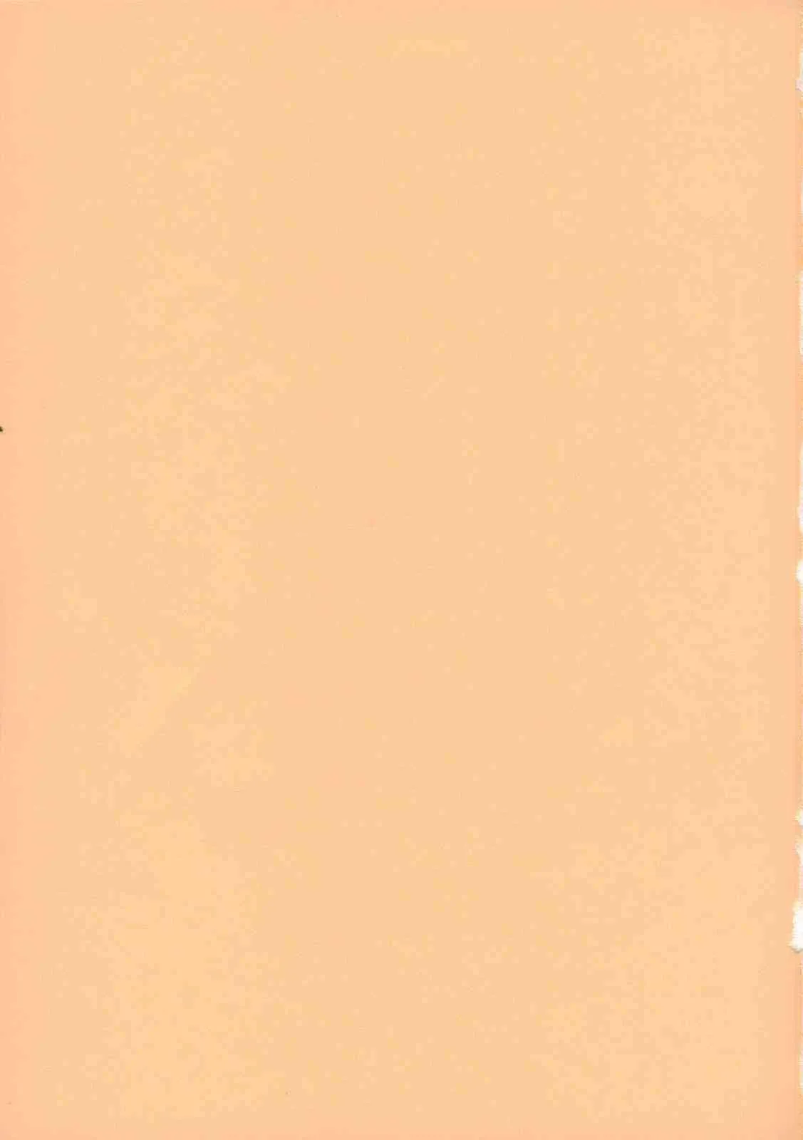 (C71) [リーフパーティー (流一本)] LeLe☆ぱっぱ Vol.10 (トゥハート2)_2