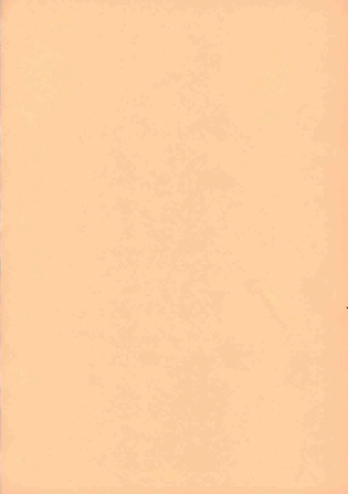 (C71) [リーフパーティー (流一本)] LeLe☆ぱっぱ Vol.10 (トゥハート2)_3