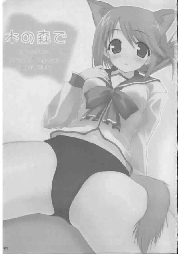 [4T] 本の森で (トゥハート2)_2