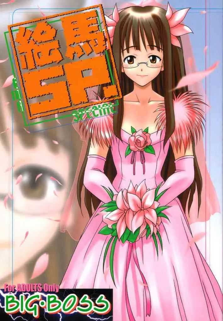 [BIG BOSS (本体売)] 絵馬SP (ラブひな)