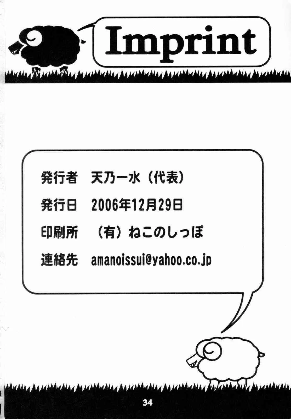image_33