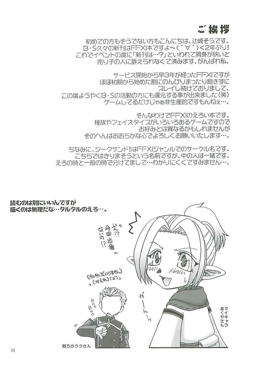 (C68) [Brough-Superior, ジークサンド! (辻崎そう)] 甘い蜜の誘惑 (ファイナルファンタジー XI)_3