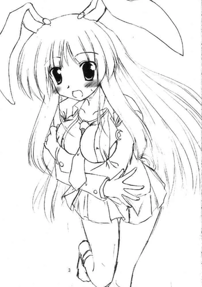 (サンクリ33) [有言実行 (ゴンざぶろー)] 望想月兎 (東方Project)_2