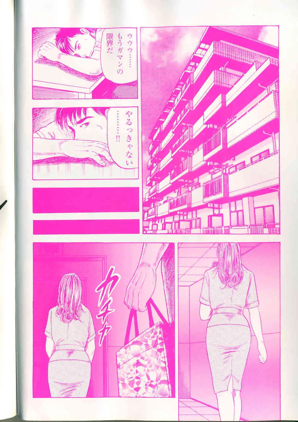 [九紋竜] 愛の奴隷―緊縛のアバンチュール_3