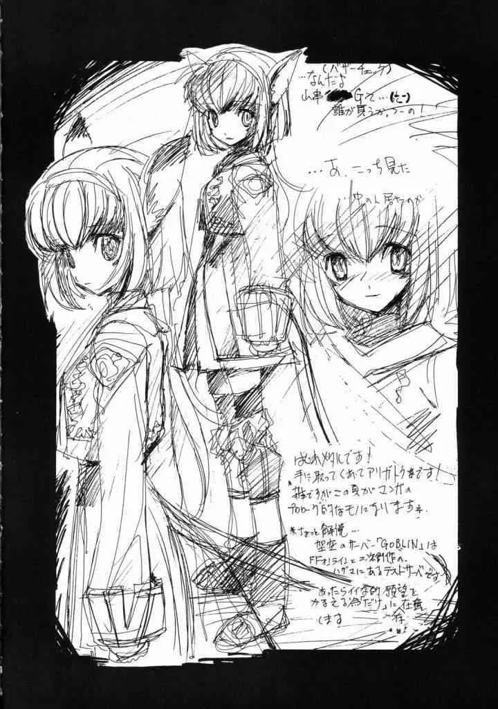 [ZINZIN] At Goblin The Fake Server Vol.2 (Final Fantasy XI)_2