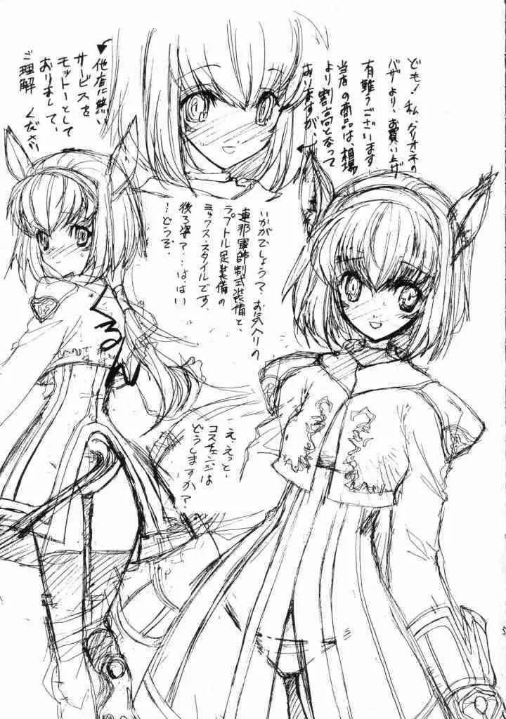 [ZINZIN] At Goblin The Fake Server Vol.2 (Final Fantasy XI)_3