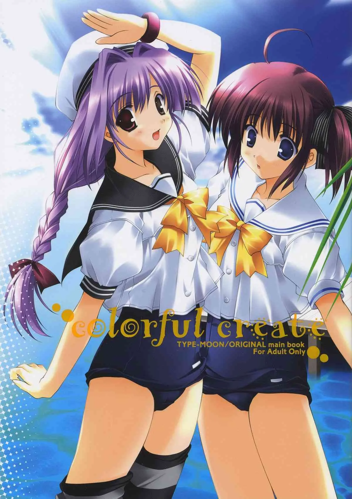 (C66) [A・M・R (池上茜)] colorful create (Fate/stay night, MELTY BLOOD, 月姫)
